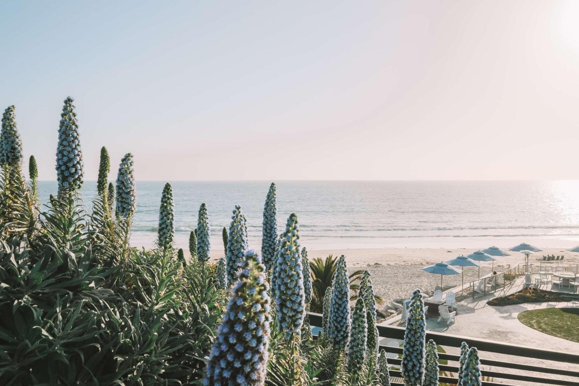 Waldorf Astoria Monarch Beach Resort & Club Dana Point Luaran gambar